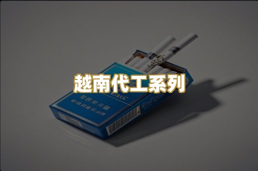 越南代工系列